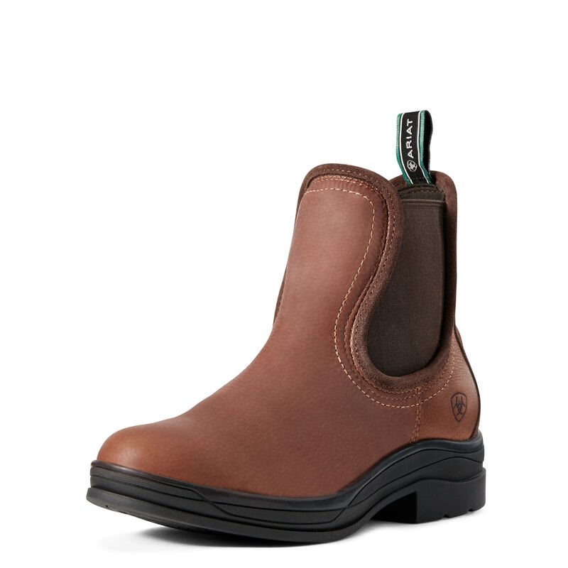 Ariat Keswick Koyu Kahverengi Çizme Bayan (23793-249)